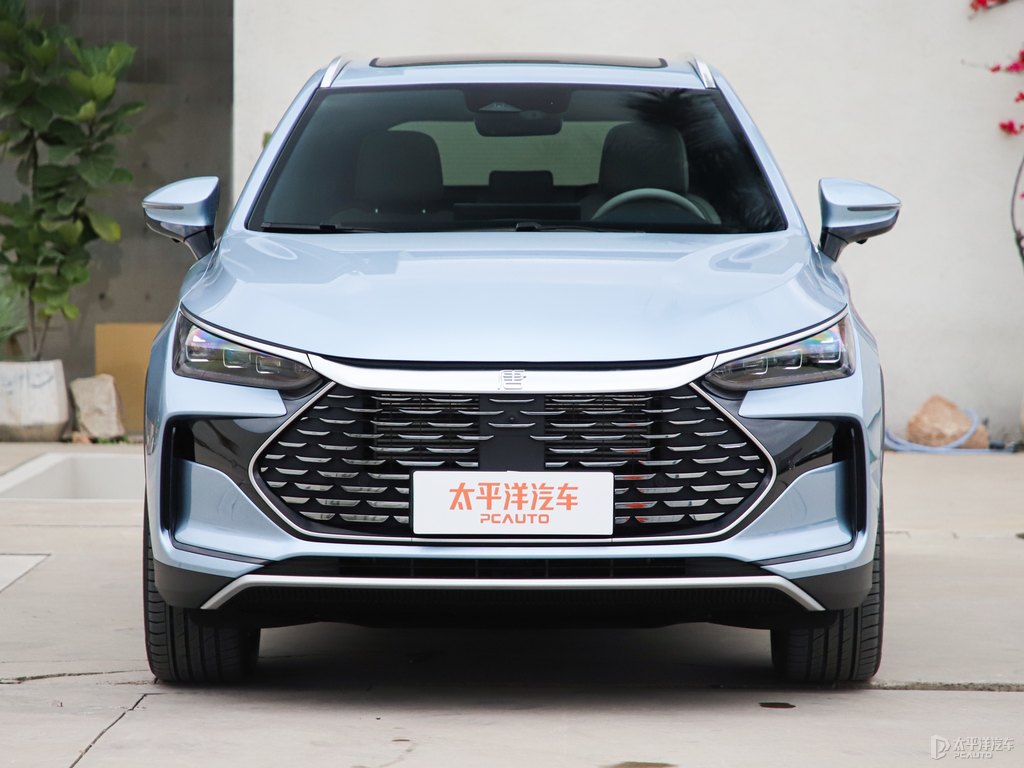 冰川藍(lán)唐新能源車頭外觀圖片