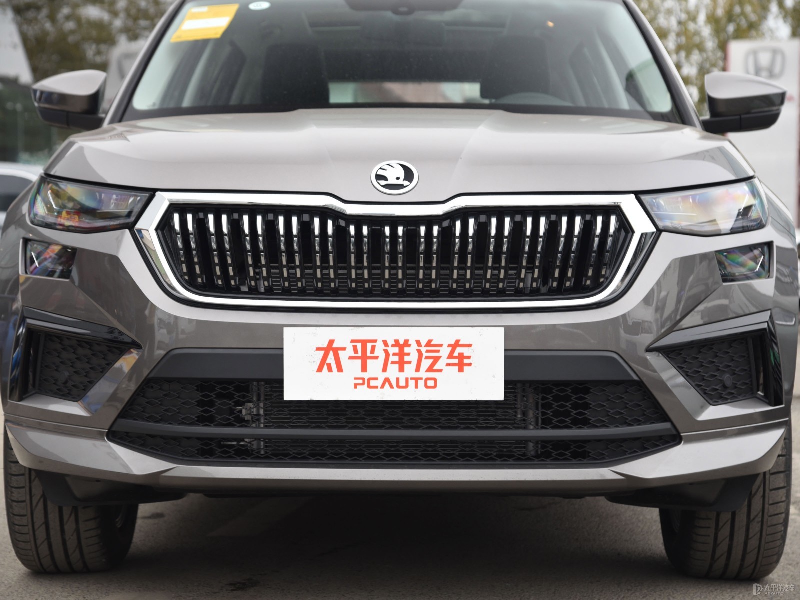 柯迪亞克外觀高清大圖
