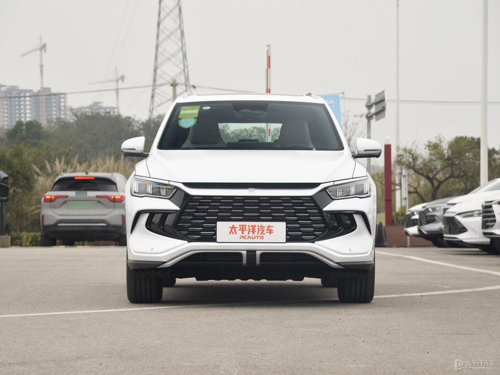 雪域白宋Pro新能源整車外觀外觀圖片