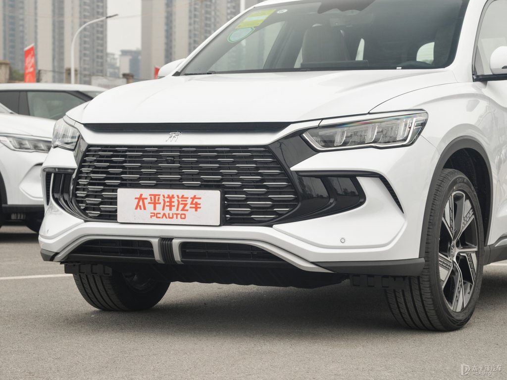 雪域白宋Pro新能源車頭外觀圖片