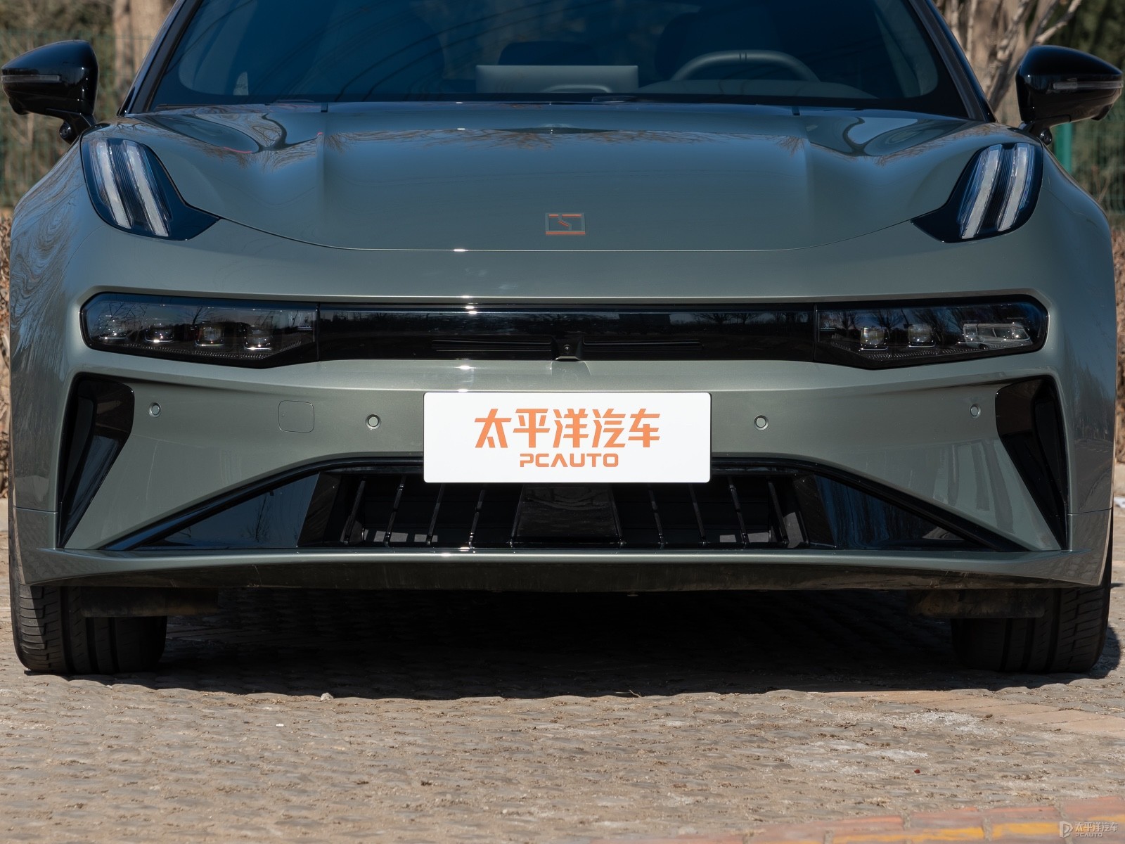 極氪001外觀高清大圖