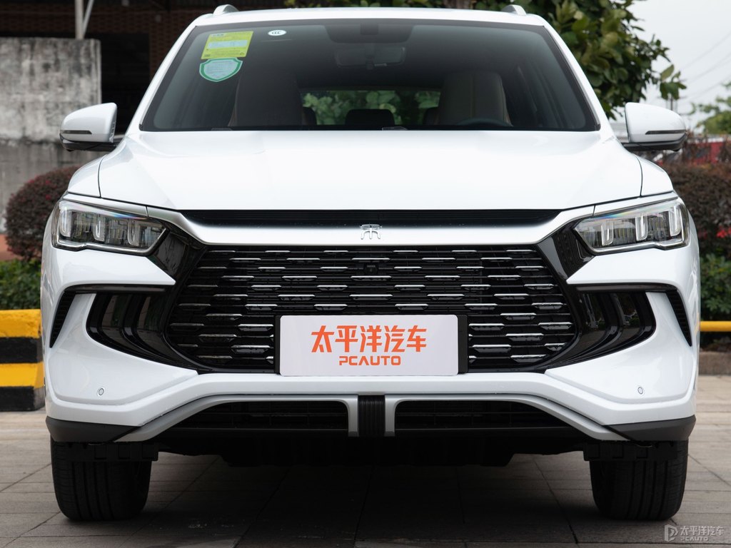 雪域白宋Pro新能源車頭外觀圖片