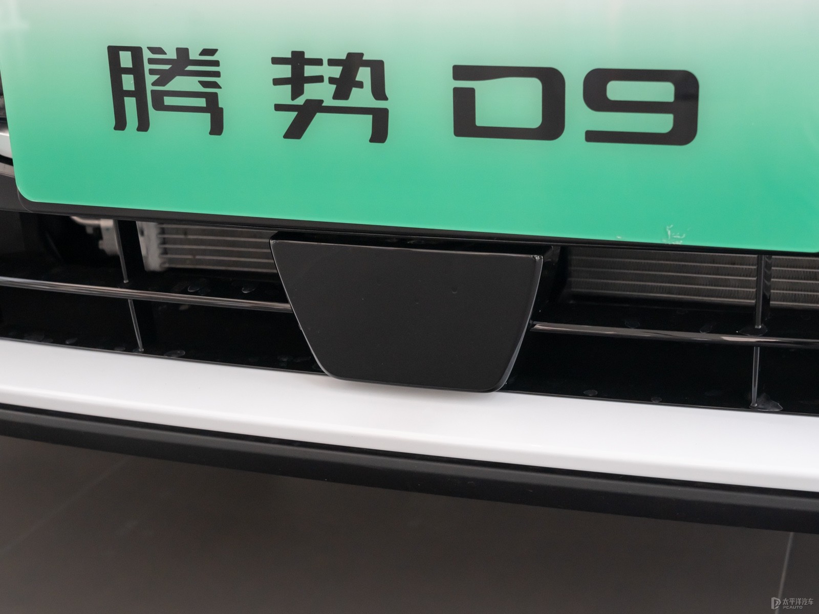 騰勢(shì)D9外觀高清大圖