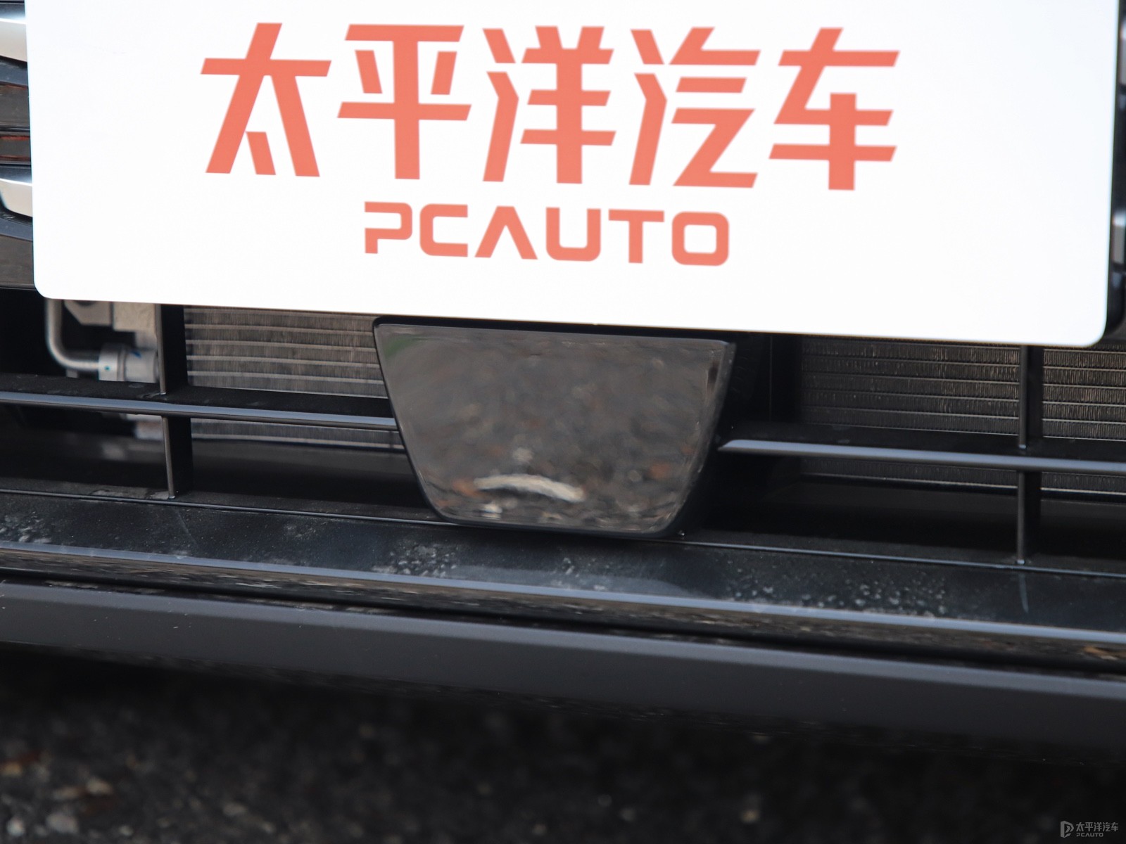 騰勢D9外觀高清大圖