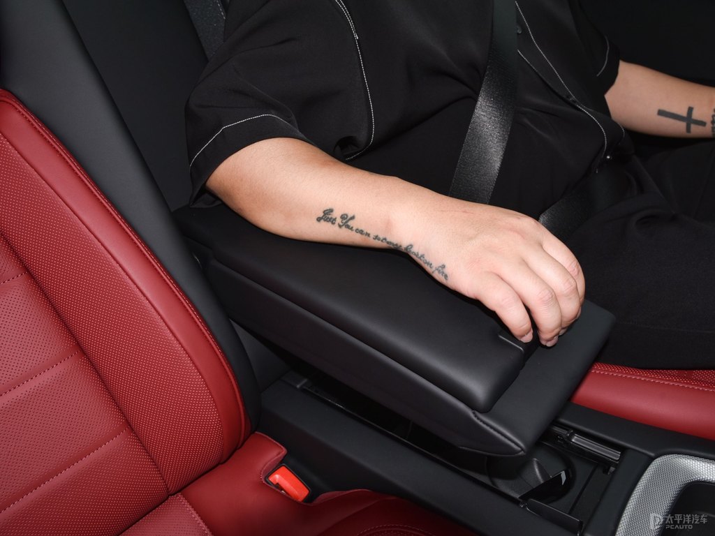 ɽPanamera{˿ggDƬ