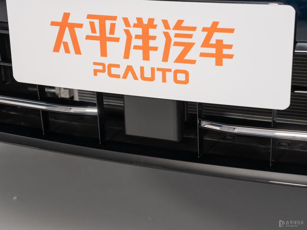 星際藍(lán)邁騰車(chē)頭外觀圖片