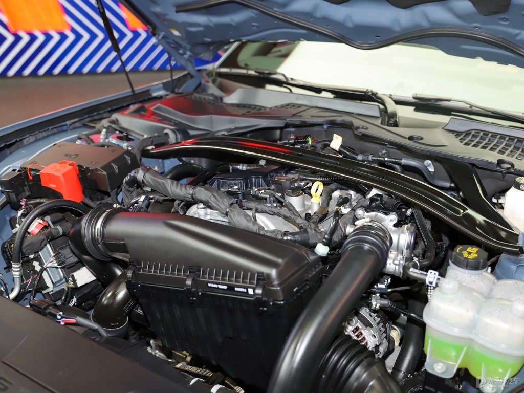 MustangDƬ