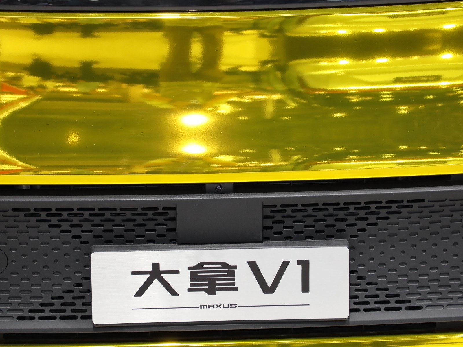 大拿V1車展高清大圖