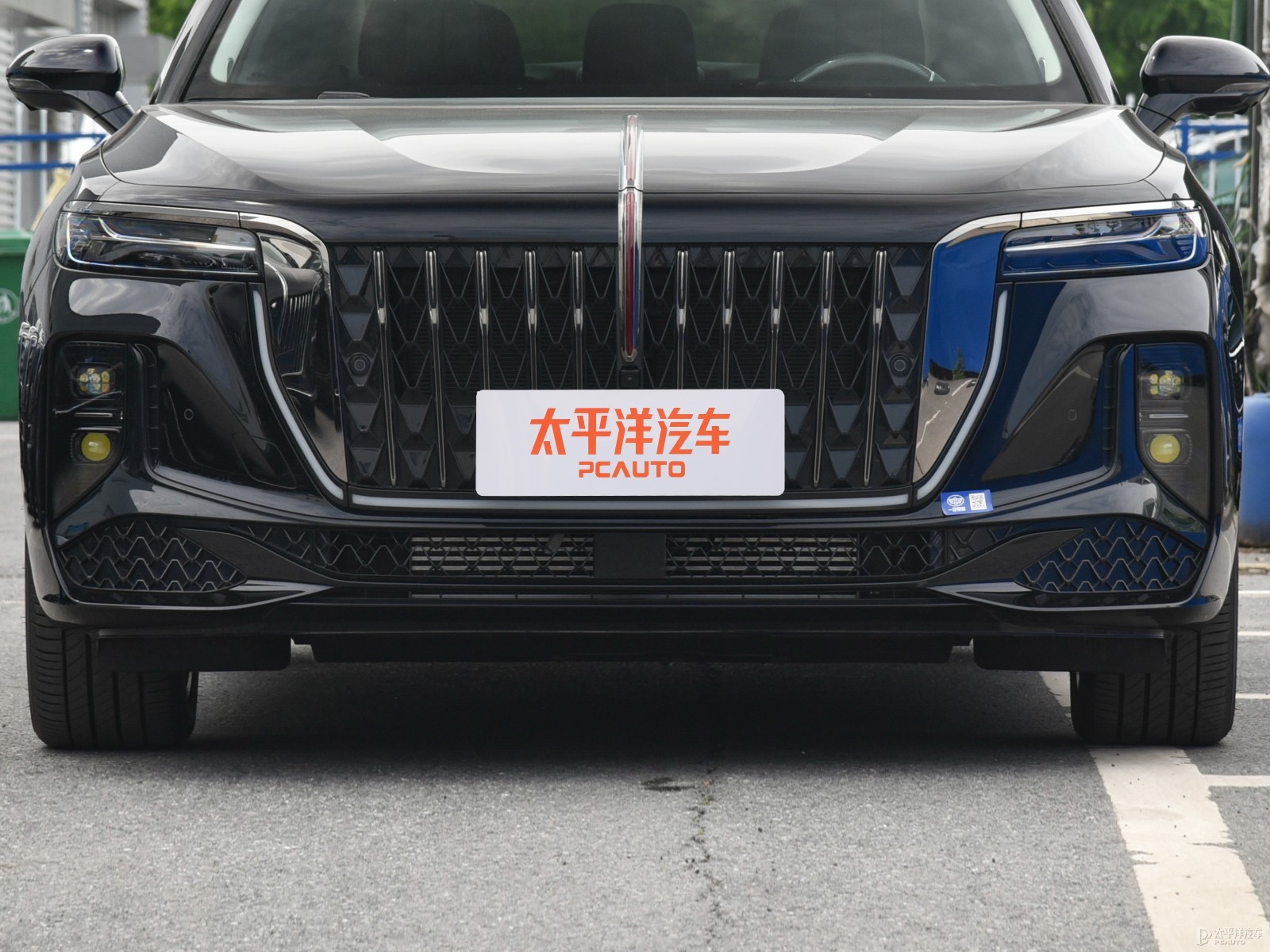 紅旗H9外觀高清大圖