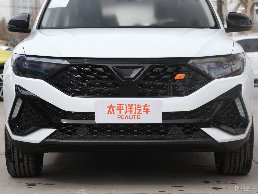 極地白捷達(dá)VS5車頭外觀圖片
