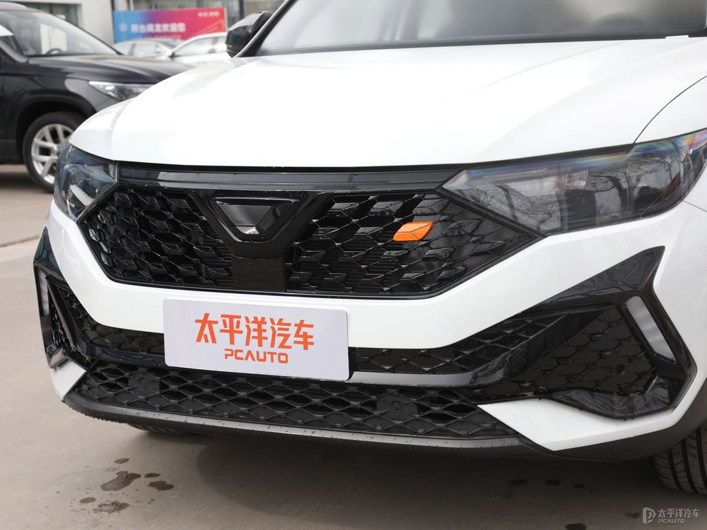 極地白捷達(dá)VS5車頭外觀圖片