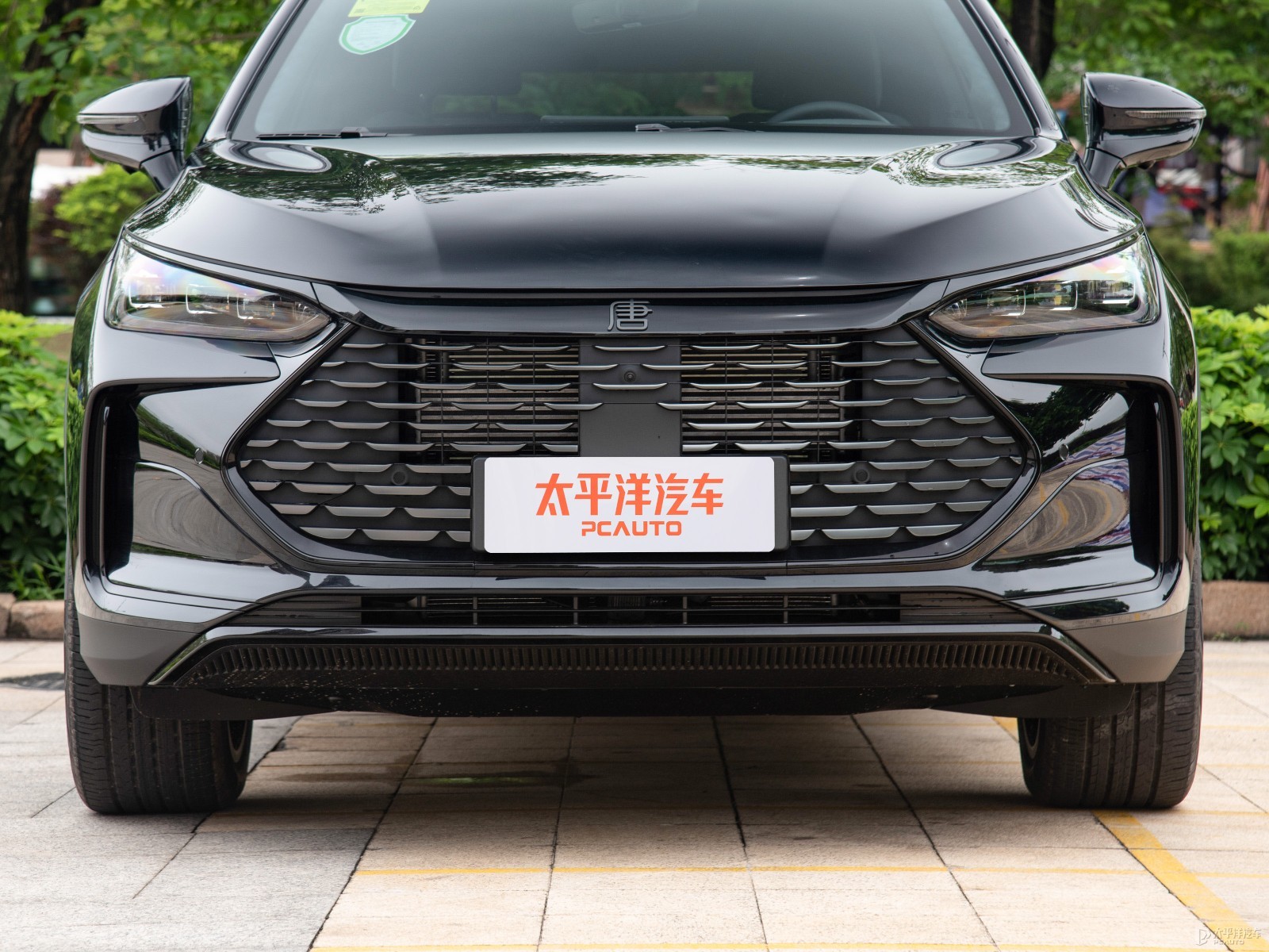 唐新能源外觀高清大圖