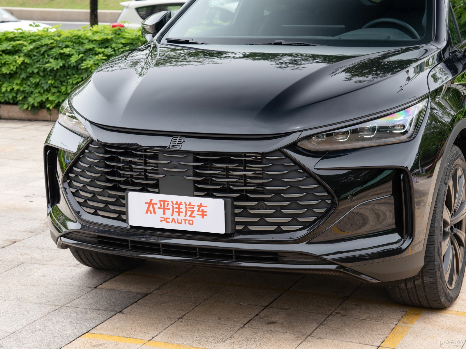 唐新能源外觀高清大圖
