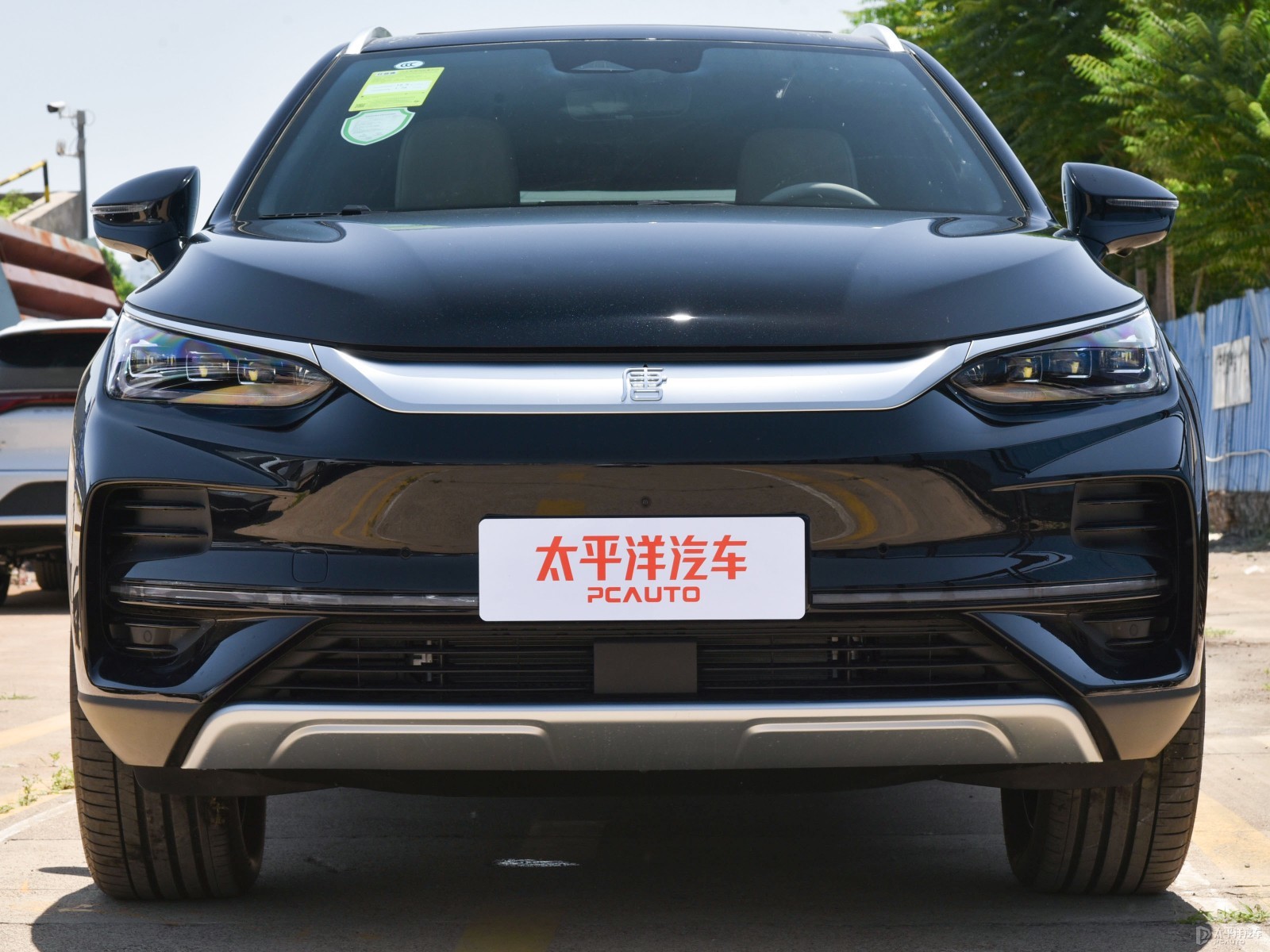 唐新能源外觀高清大圖