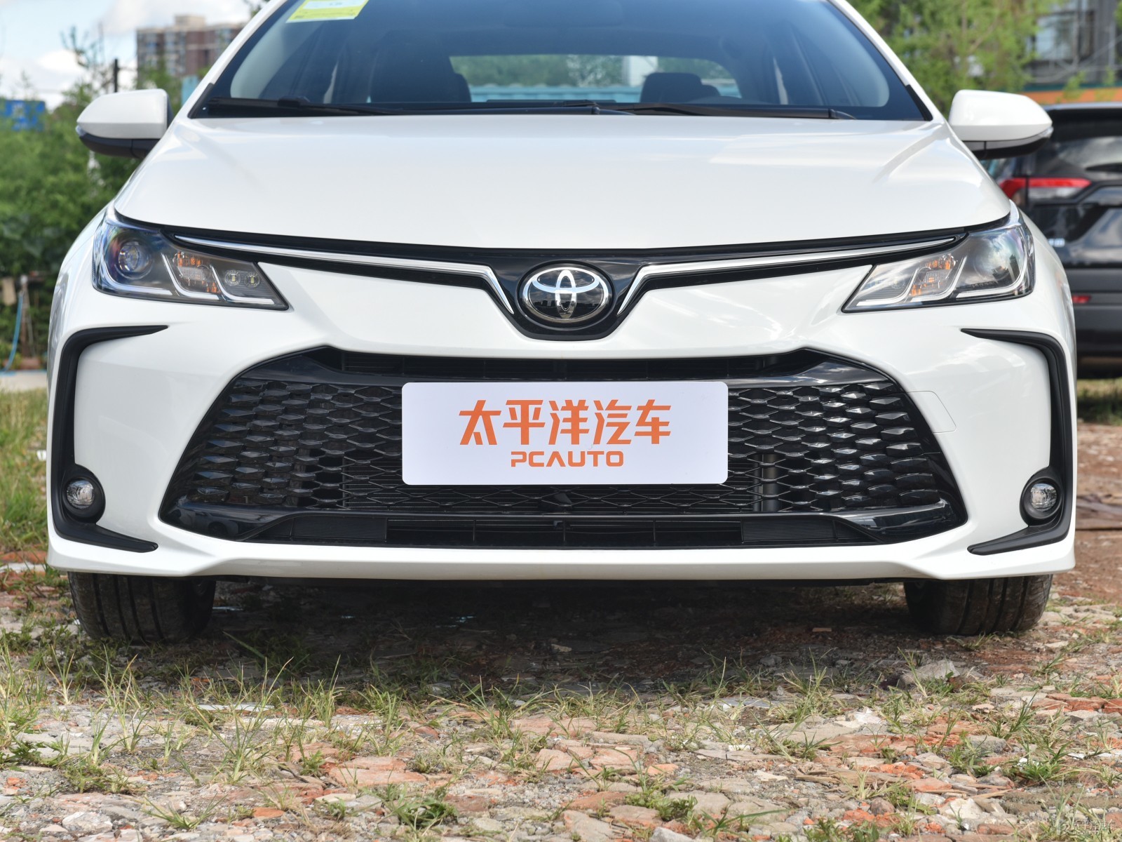 卡羅拉外觀高清大圖