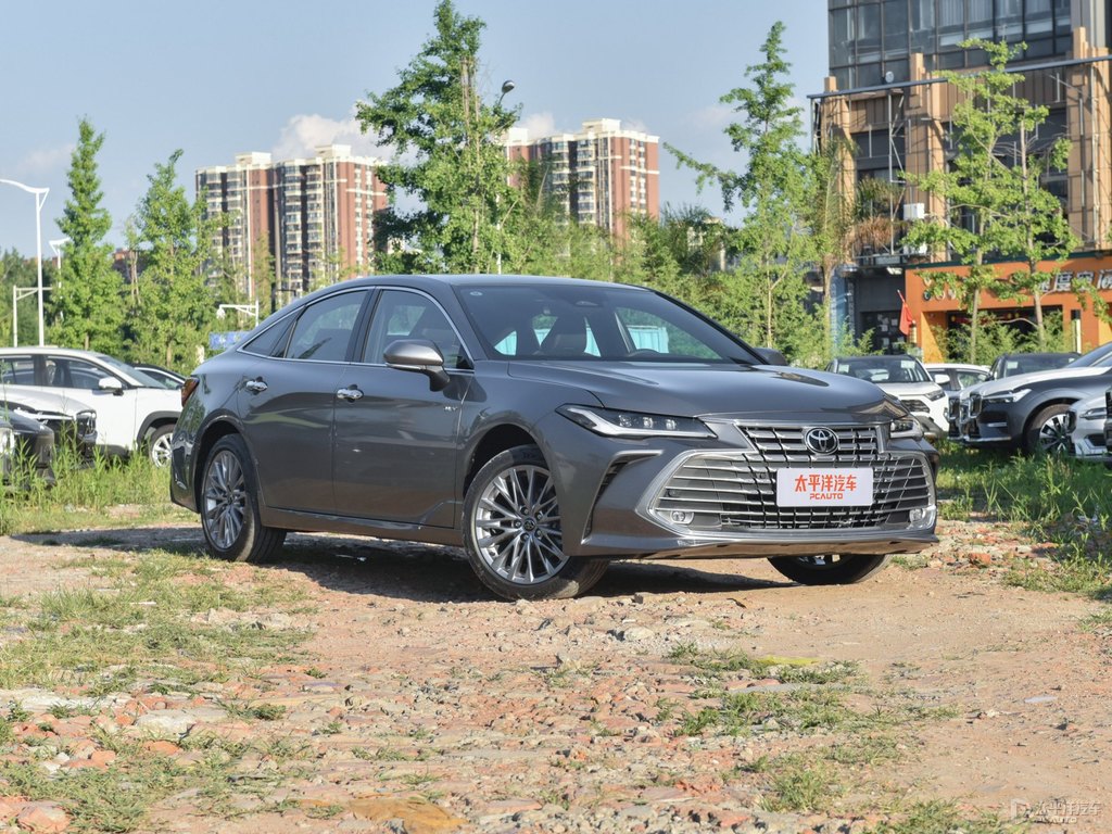 金屬灰亞洲龍整車外觀外觀圖片