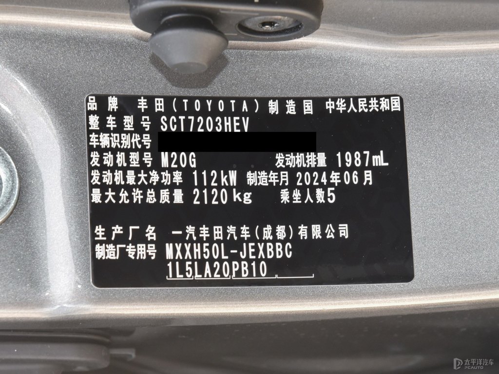 金屬灰亞洲龍細節(jié)其它細節(jié)圖片
