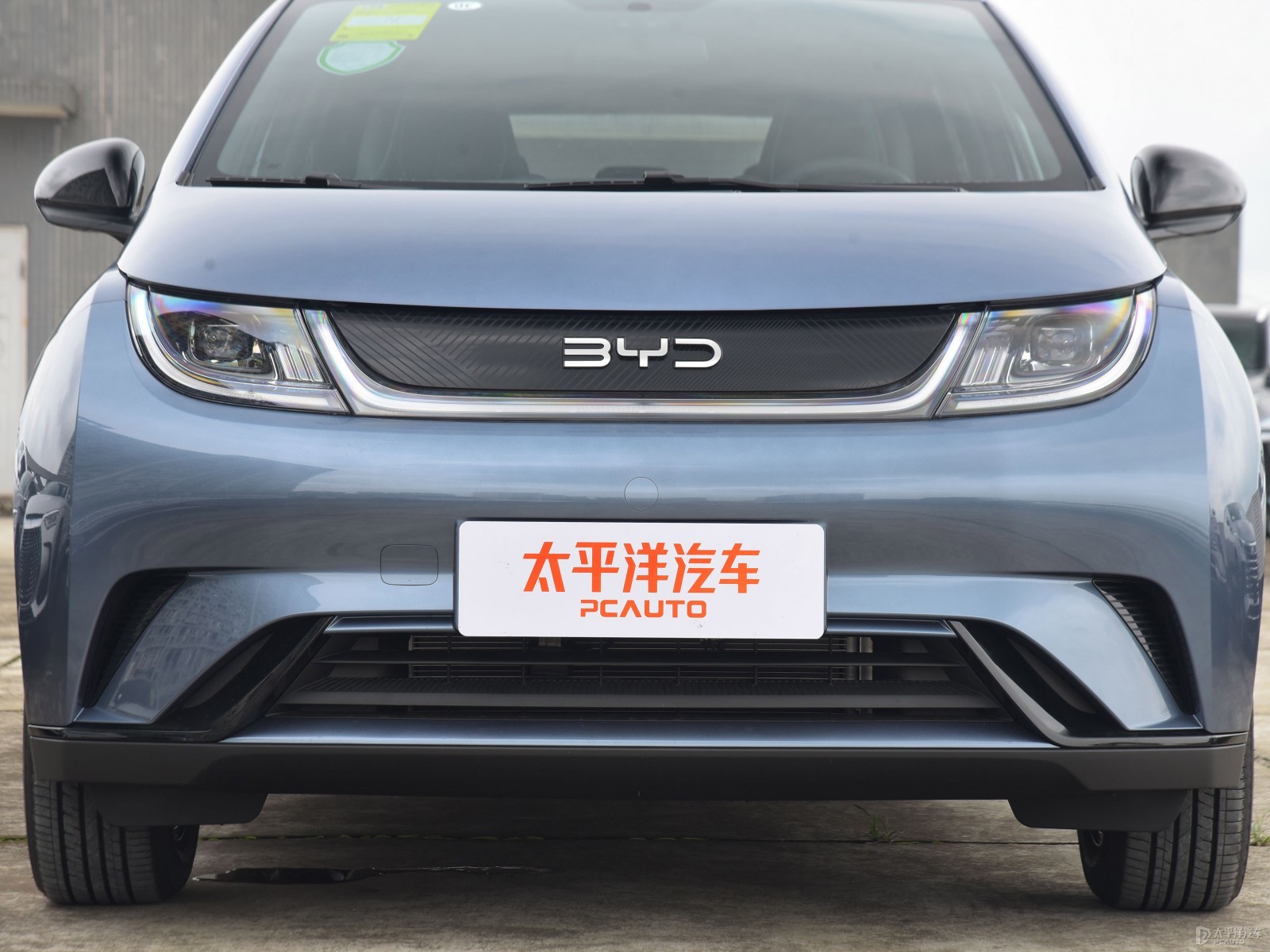 海豚外觀高清大圖