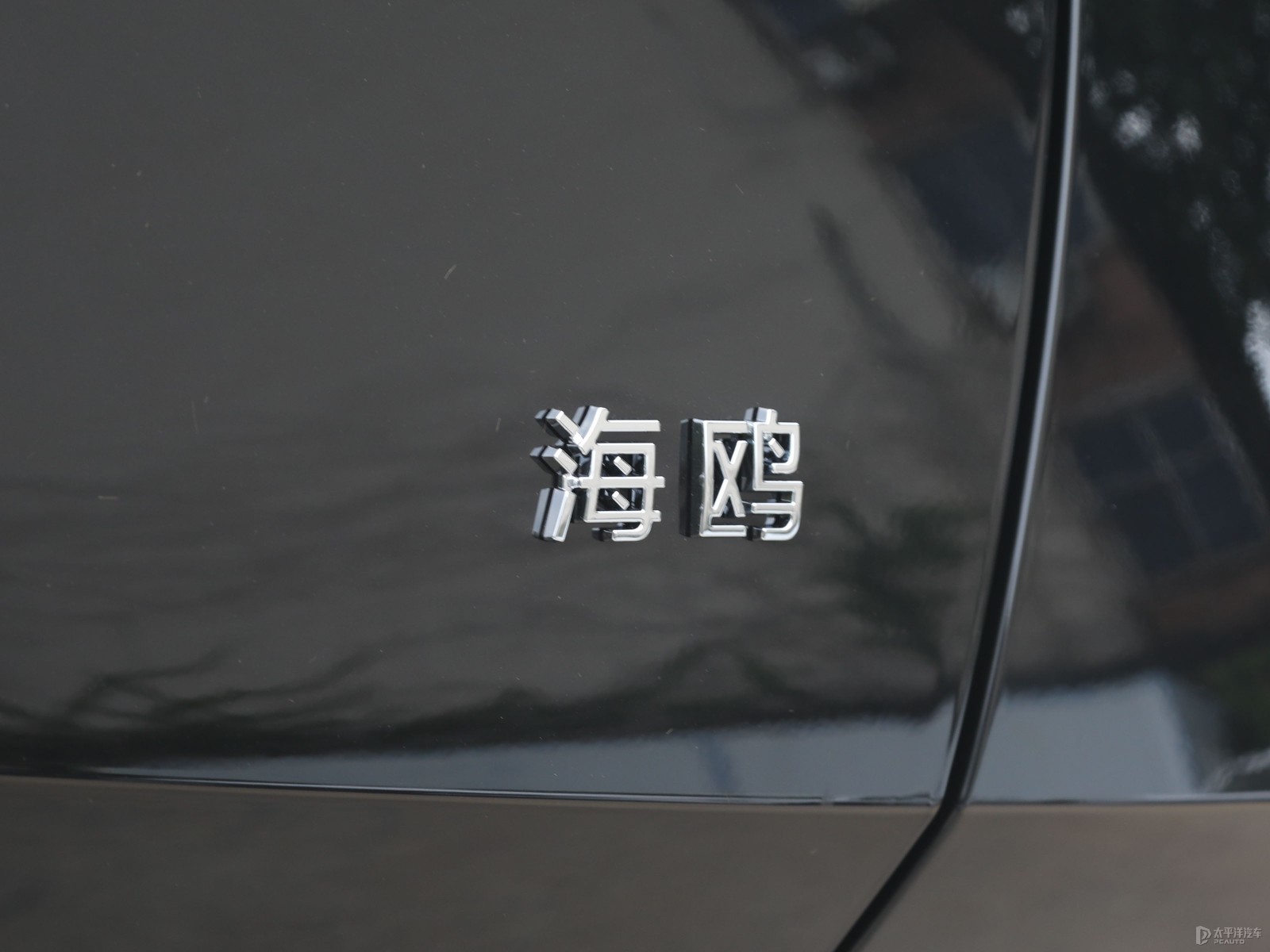 海鷗外觀高清大圖
