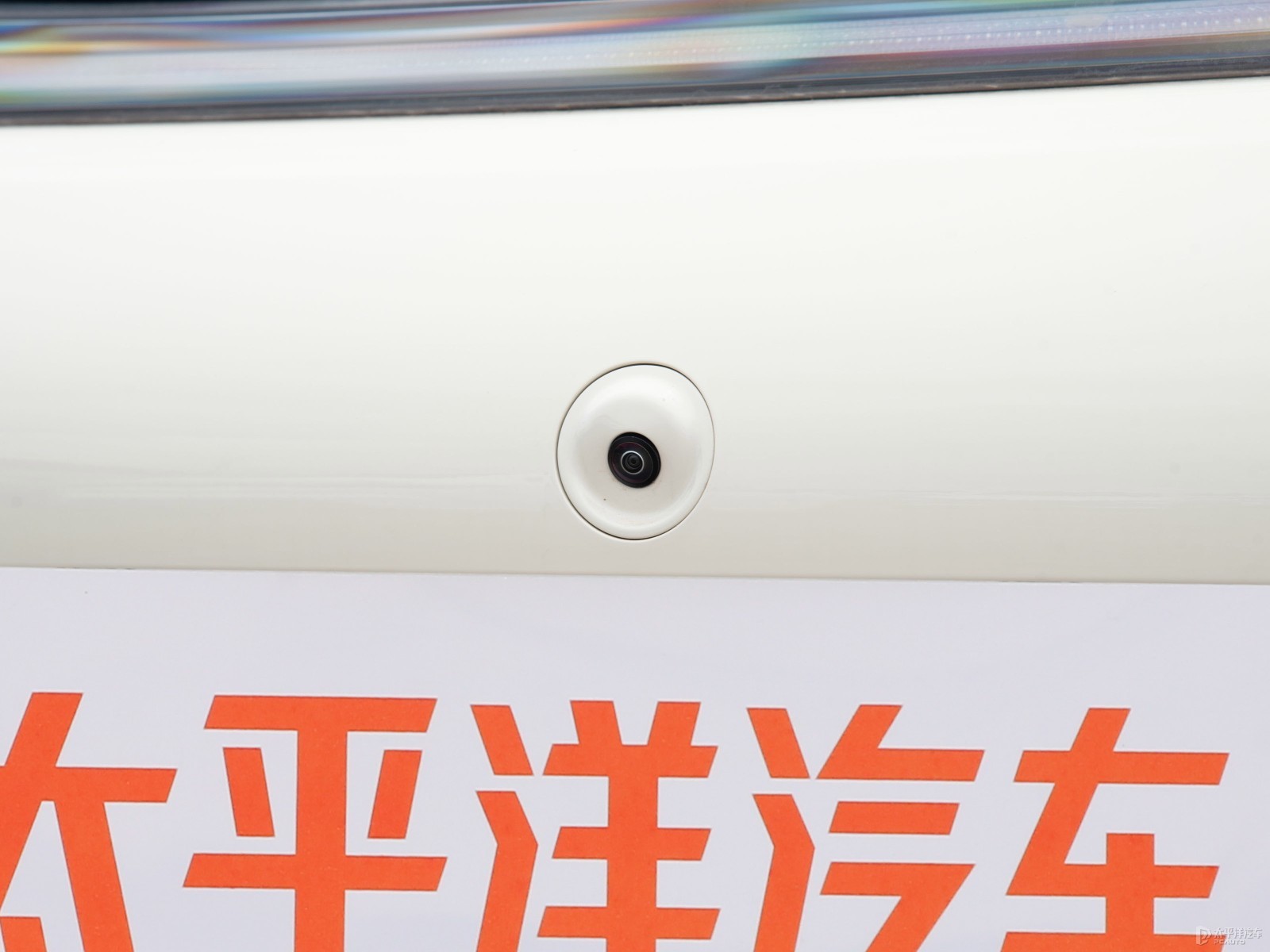 海豚外觀高清大圖