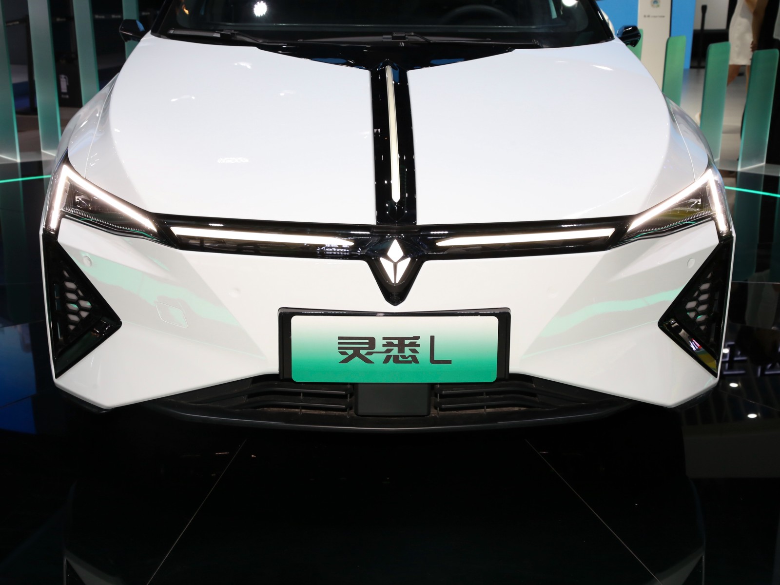 靈悉L車展高清大圖