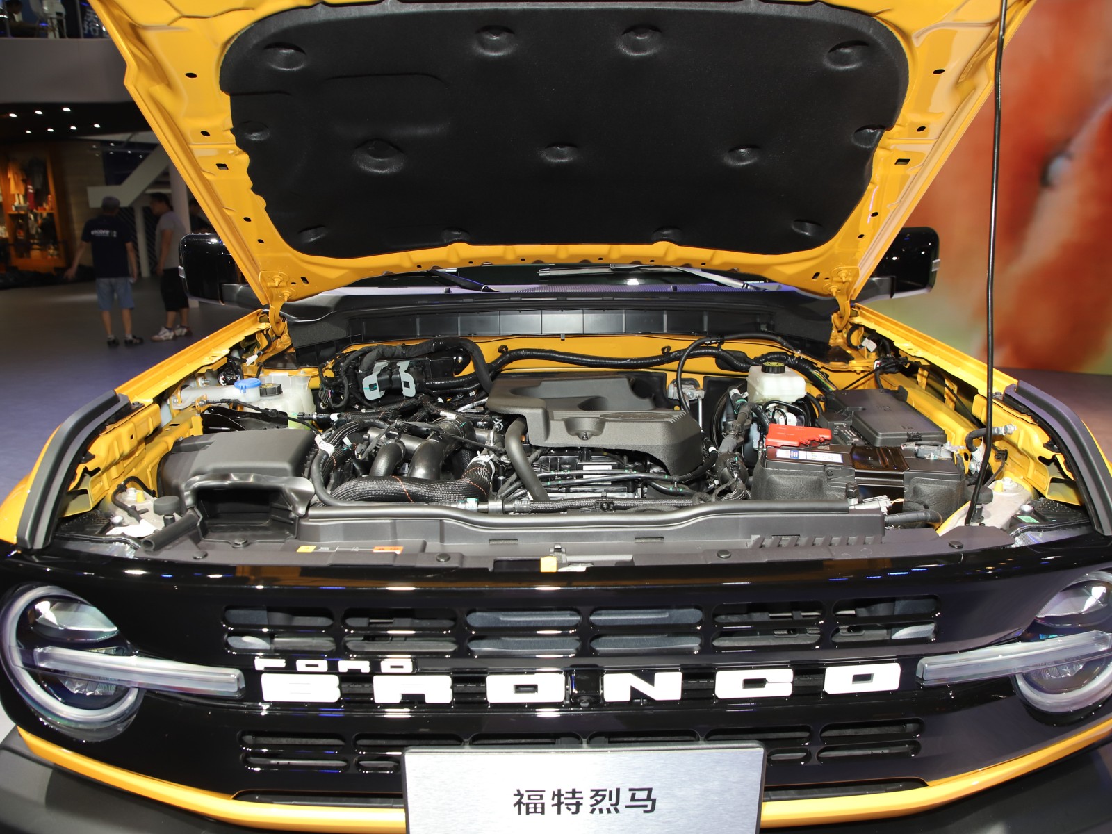 福特烈馬車展高清大圖