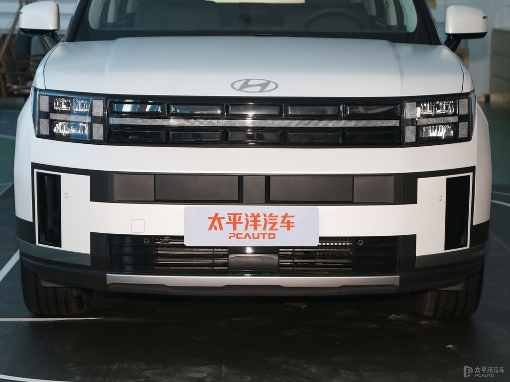 晨露白勝達(dá)車頭外觀圖片