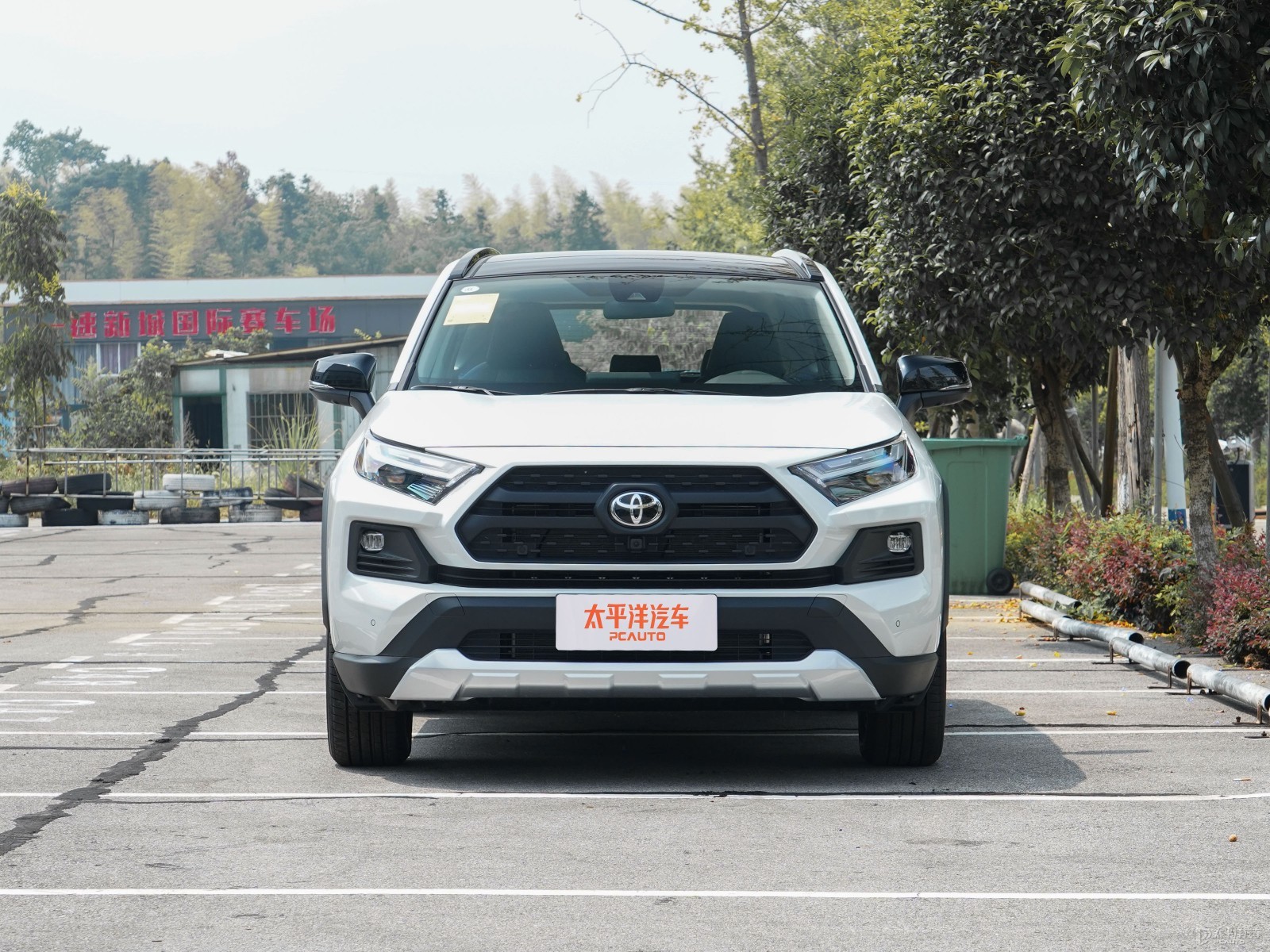 RAV4榮放外觀高清大圖