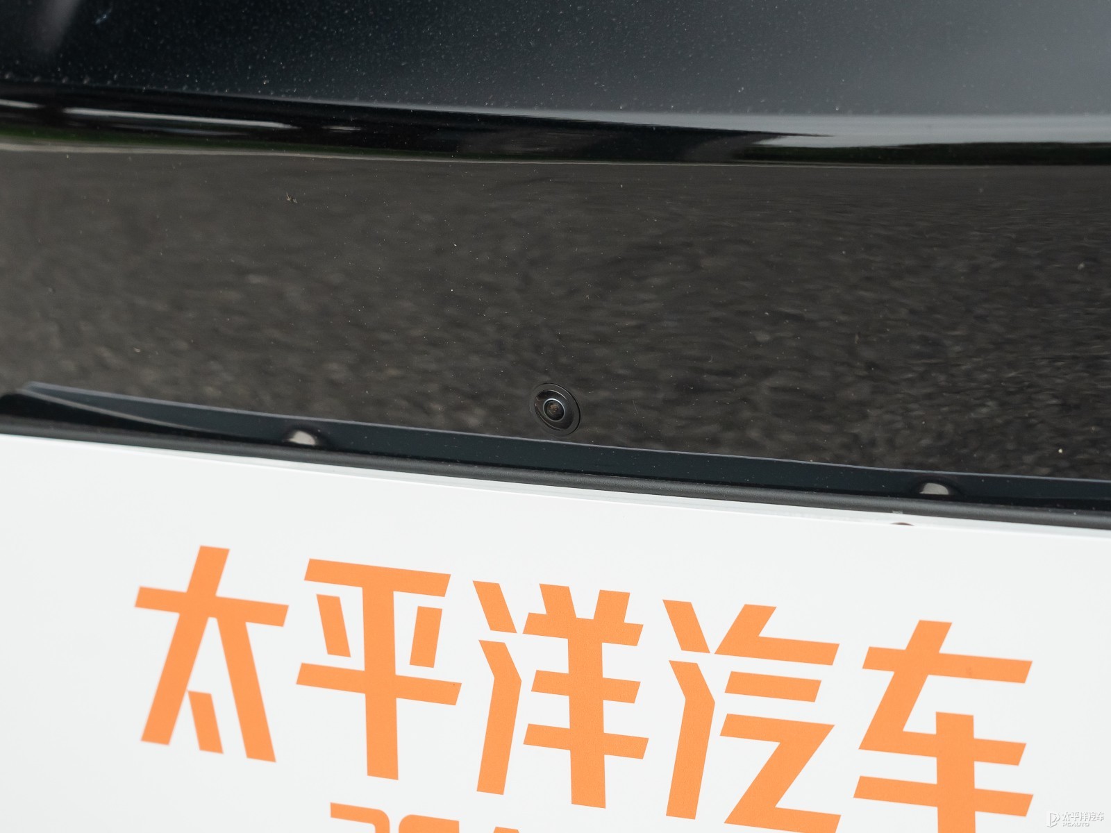 海豹外觀高清大圖