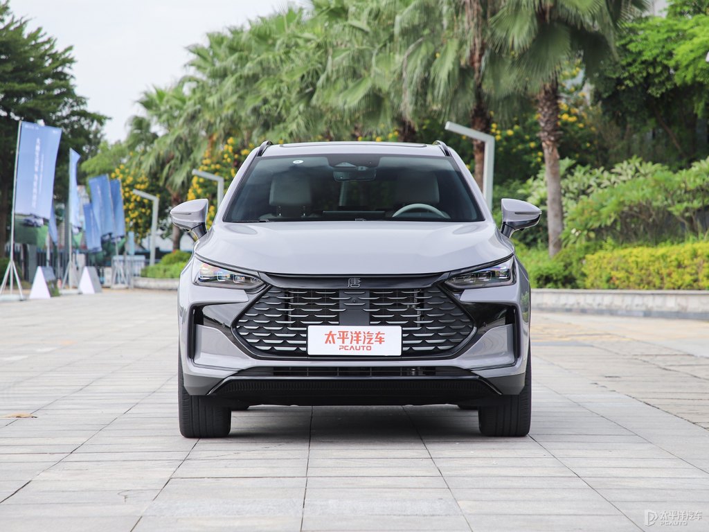 未央灰唐新能源整車外觀外觀圖片