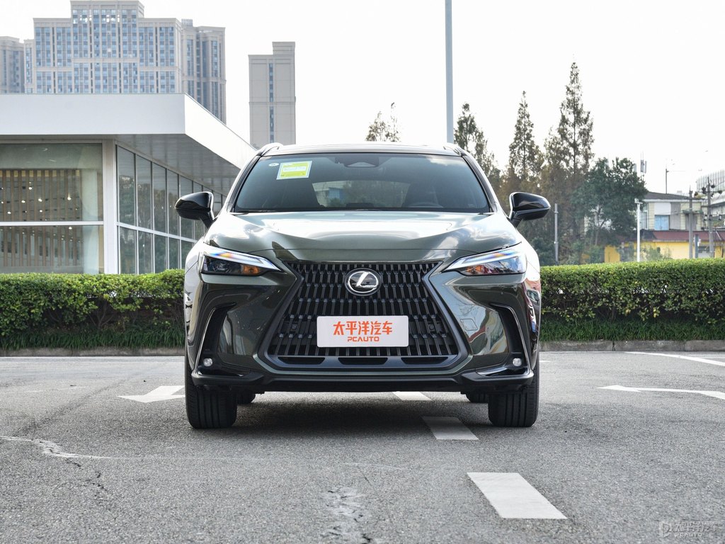 黛青云母雷克薩斯NX整車外觀外觀圖片