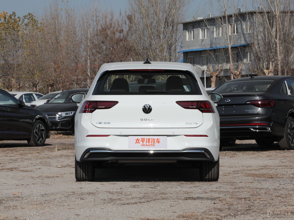 極地白高爾夫整車外觀外觀圖片