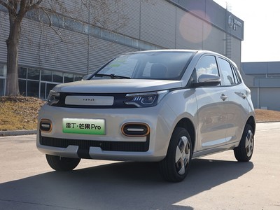 雷丁芒果Pro新車報價2025款大揭秘，買車前必看！