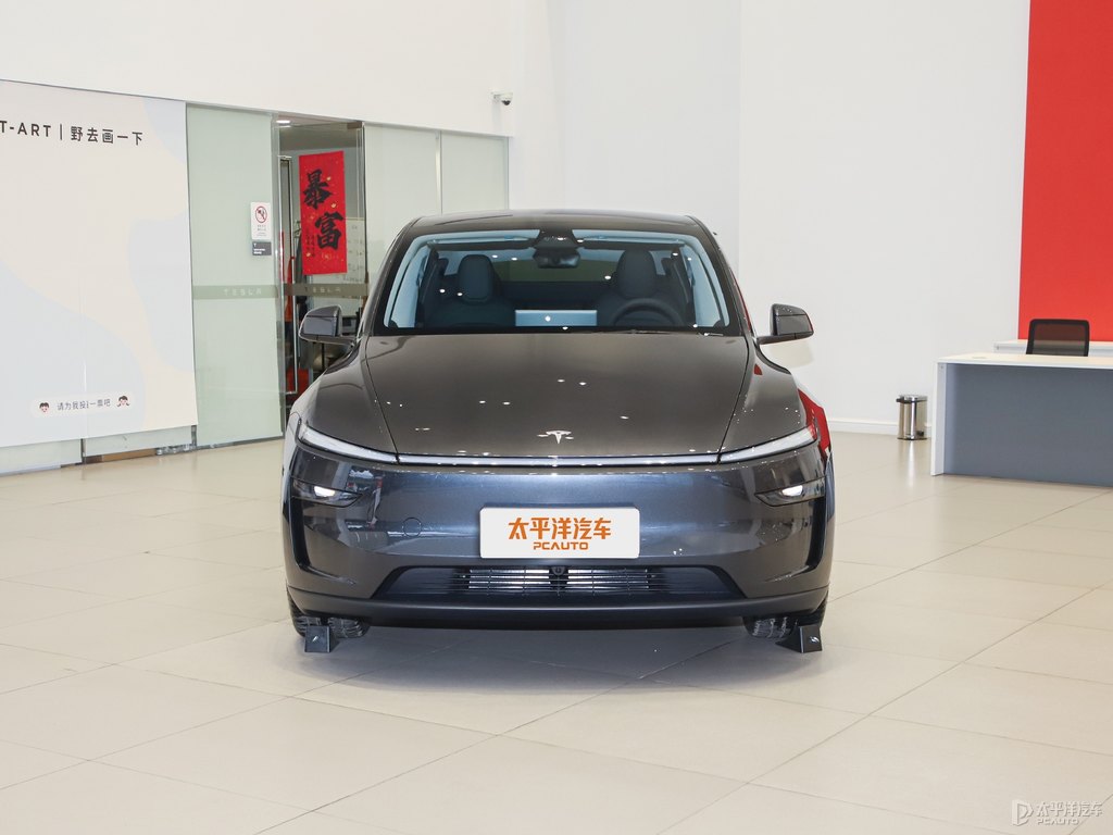 星空灰Model Y整車外觀外觀圖片