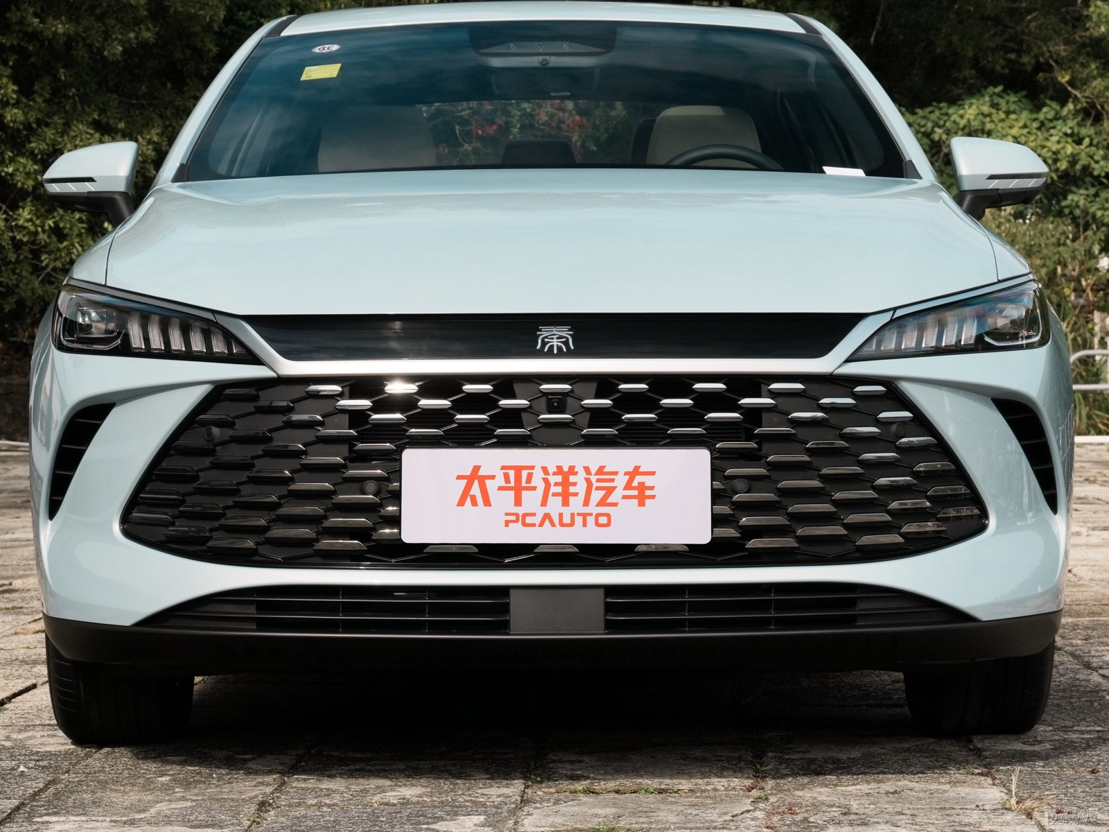 秦PLUS外觀高清大圖