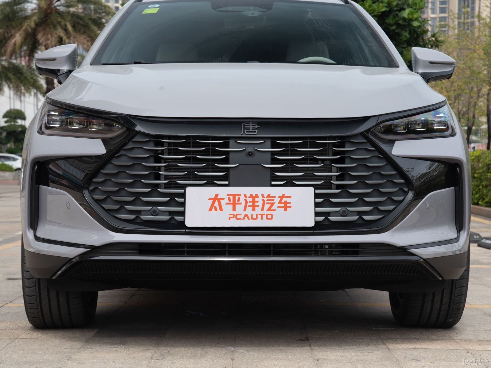 唐新能源外觀高清大圖