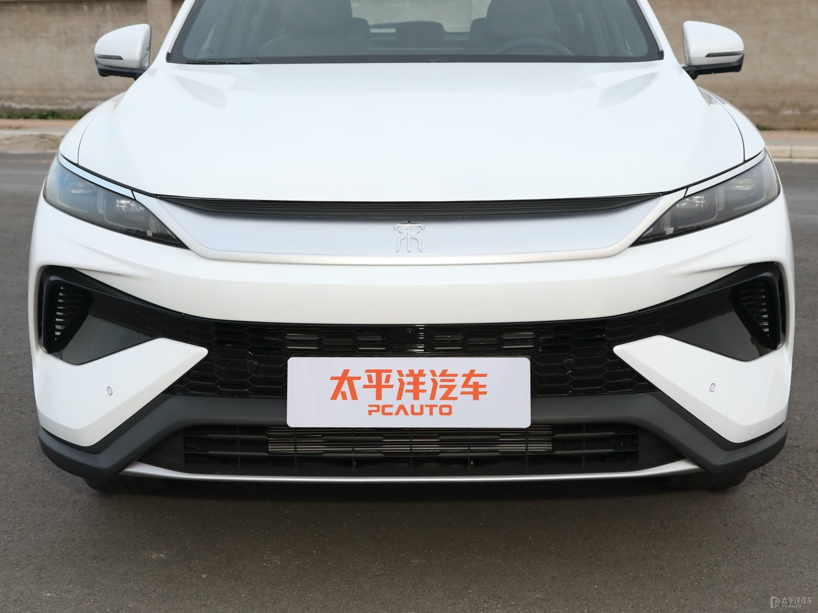 宋Pro新能源外觀高清大圖