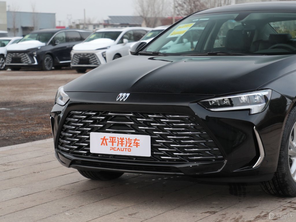 墨玉黑君威車頭外觀圖片
