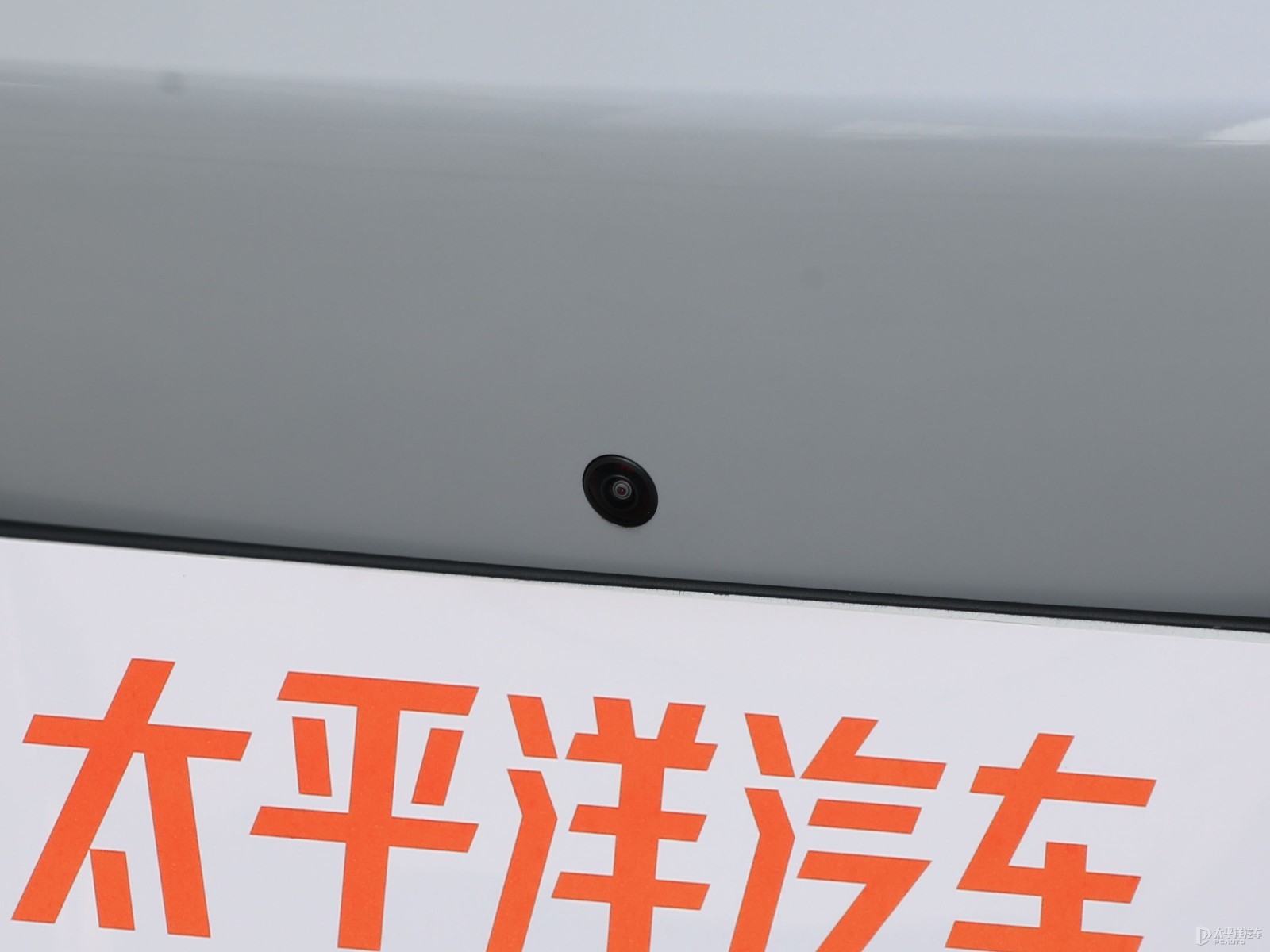 海豹外觀高清大圖