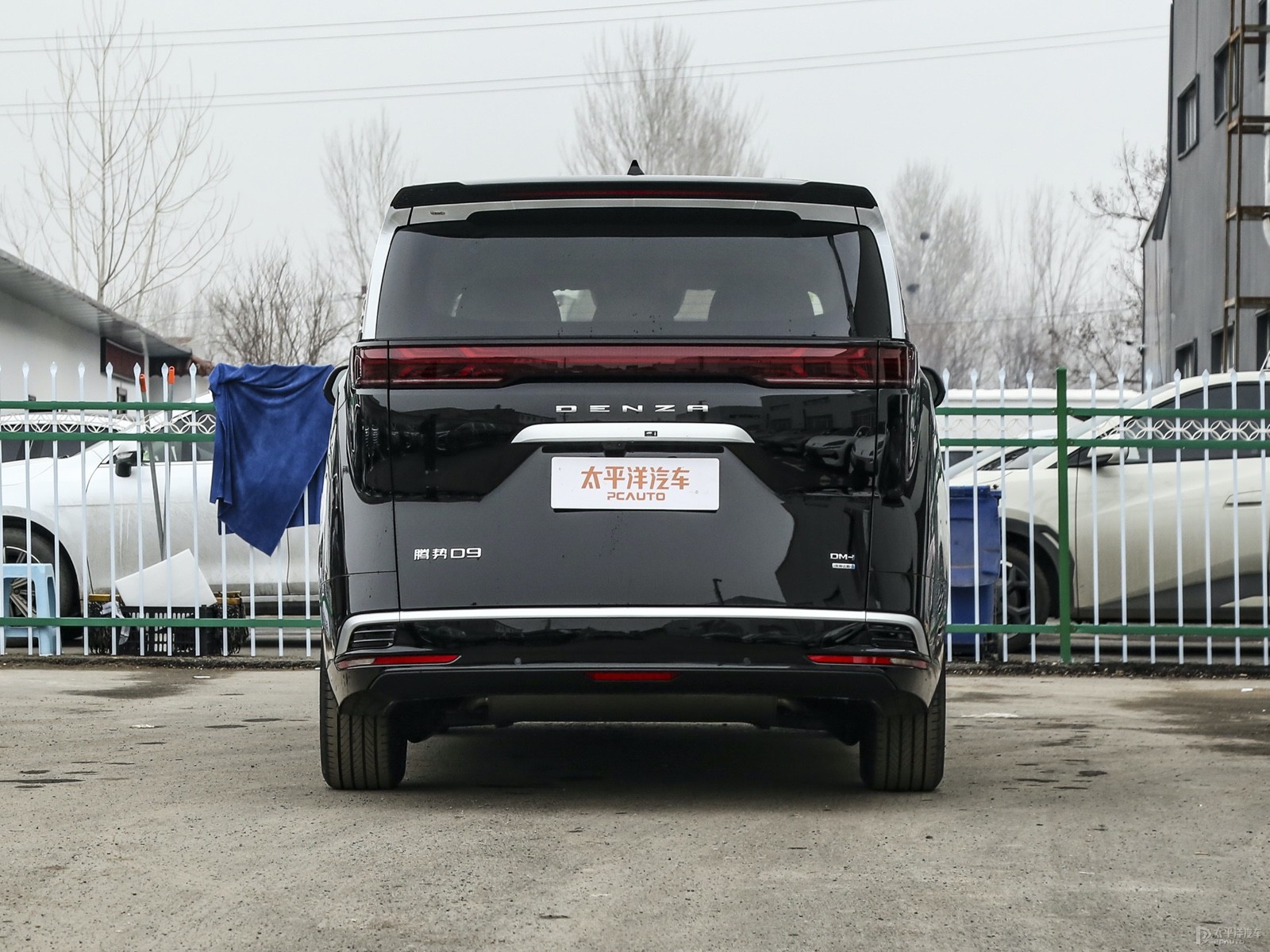騰勢(shì)D9外觀高清大圖
