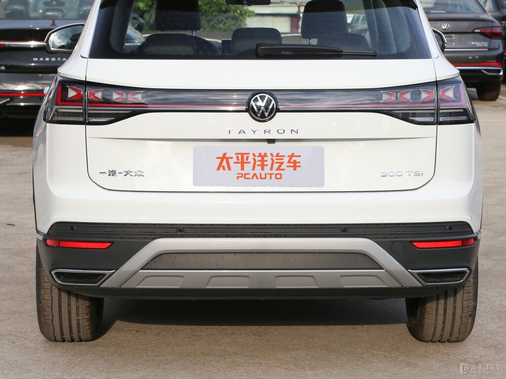 探岳車尾外觀圖片