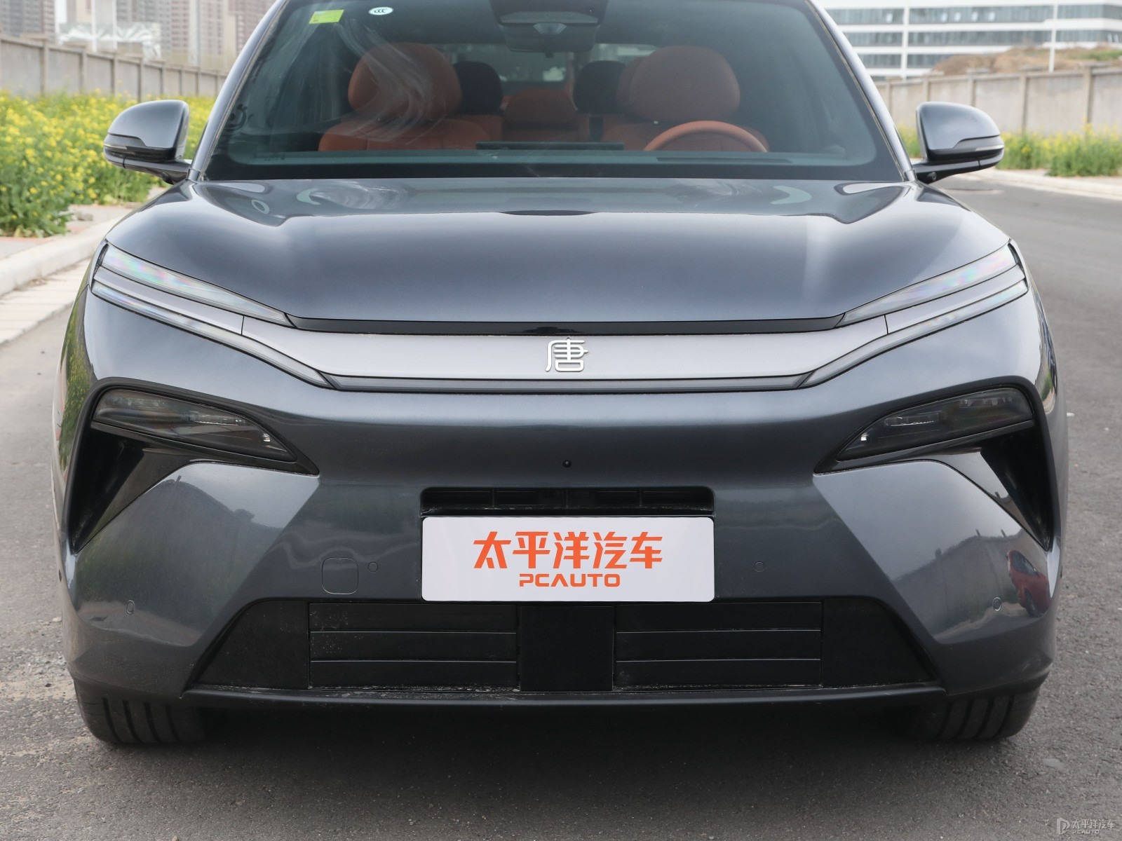 唐L外觀高清大圖