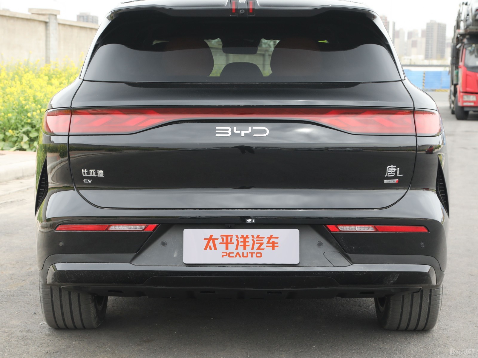 唐L外觀高清大圖
