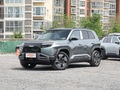 iCAR V233