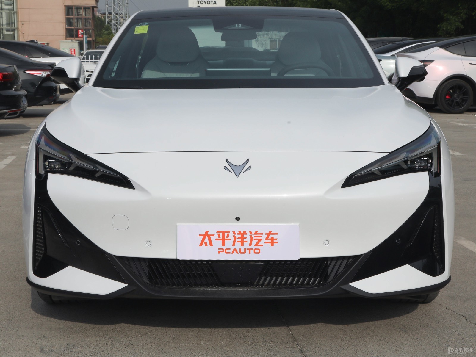 極狐 阿爾法S5外觀高清大圖
