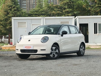 釔為3最新價格2025款全分析，買車不踩坑！