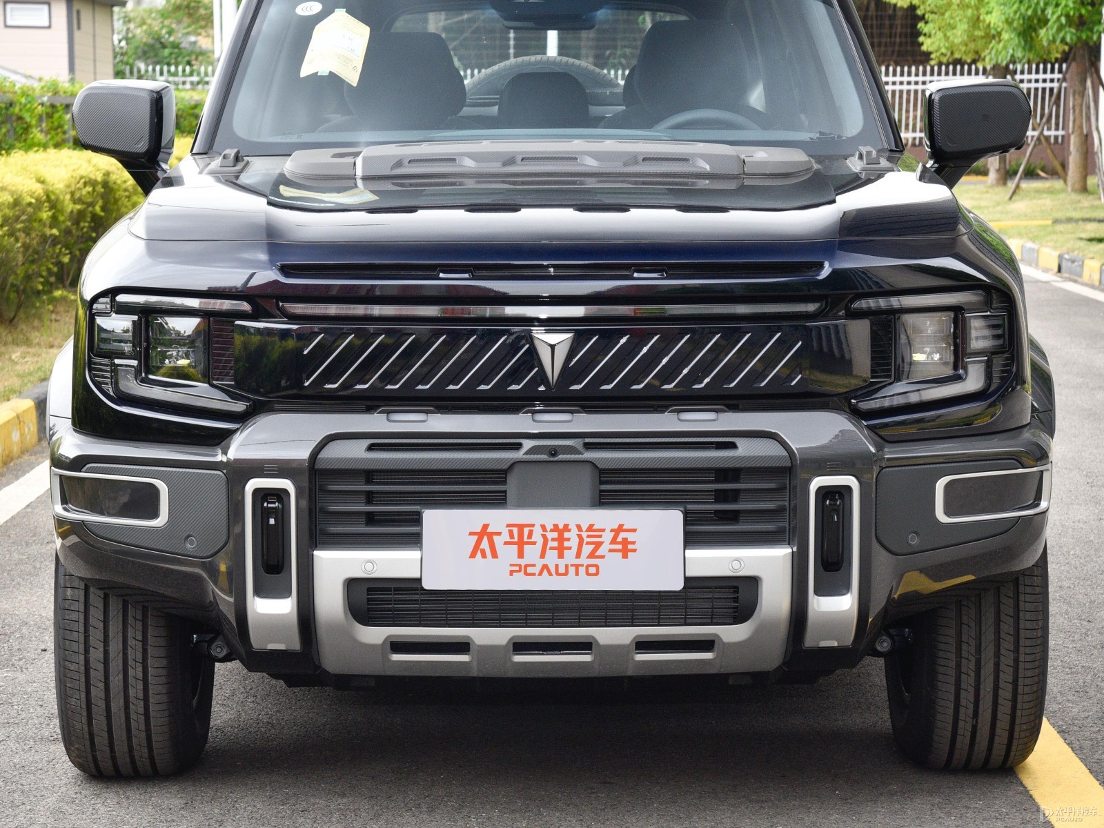深藍(lán)G318外觀高清大圖