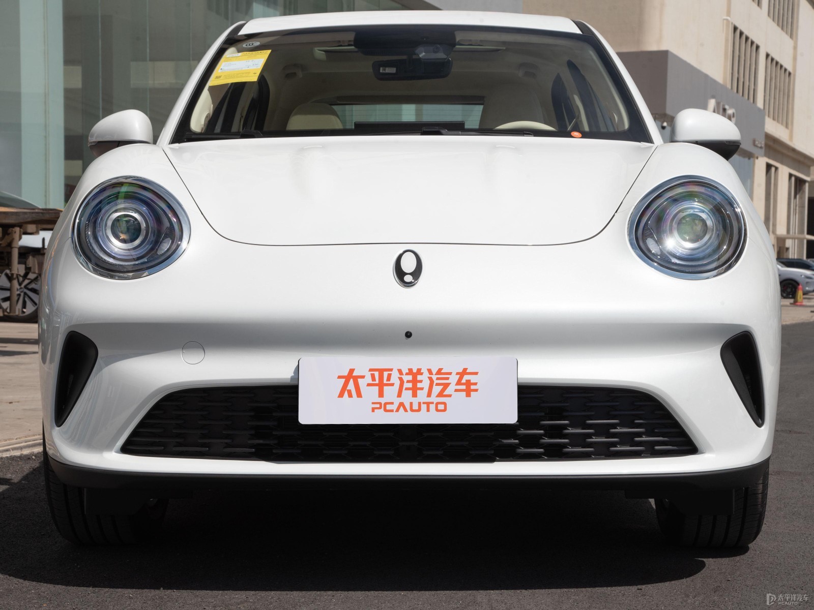 歐拉好貓外觀高清大圖
