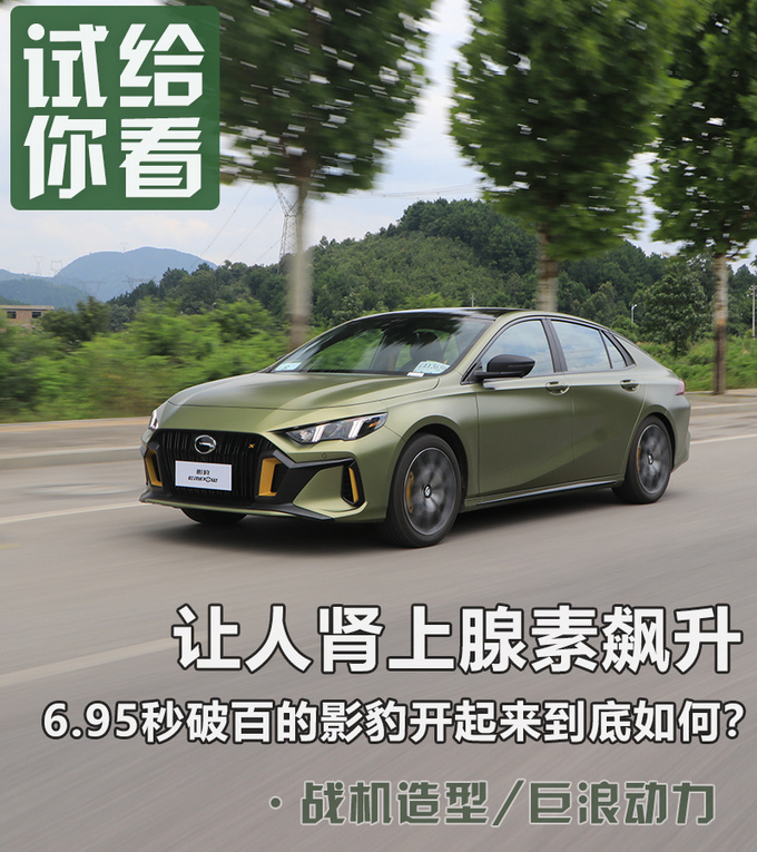 让人肾上腺素飙升 6.95秒破百的影豹竟如此迷人