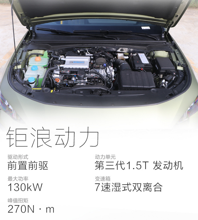 让人肾上腺素飙升 6.95秒破百的影豹竟如此迷人